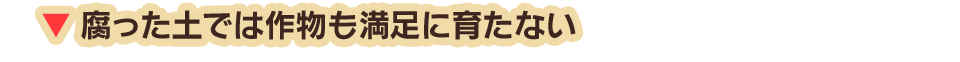 腐った土では作物も満足に育たない