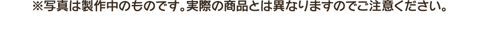 ※写真は製作中のものです。実際の商品とは異なりますのでご注意ください。