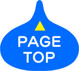 PAGE TOP