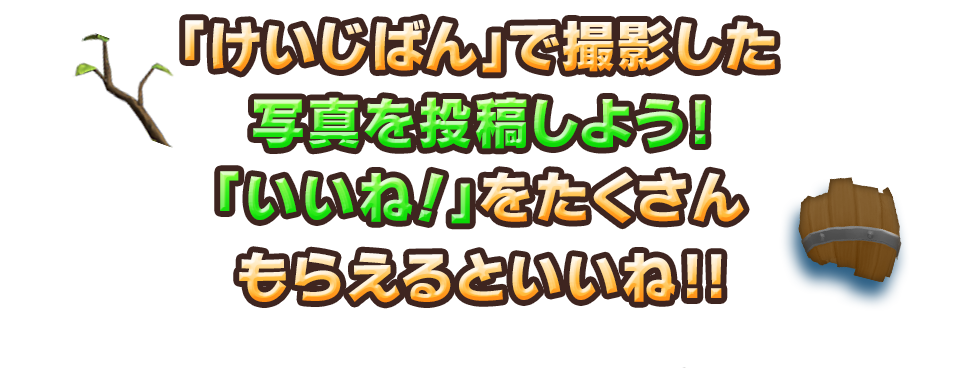 「けいじばん」で撮影した写真を投稿しよう！「いいね！」をたくさんもらえるといいね!!