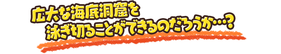 広大な海底洞窟を泳ぎ切ることができるのだろうか…？