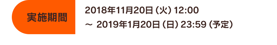 実施期間　2018年11月20日（火）12:00～2019年1月20日（日）23:59（予定）