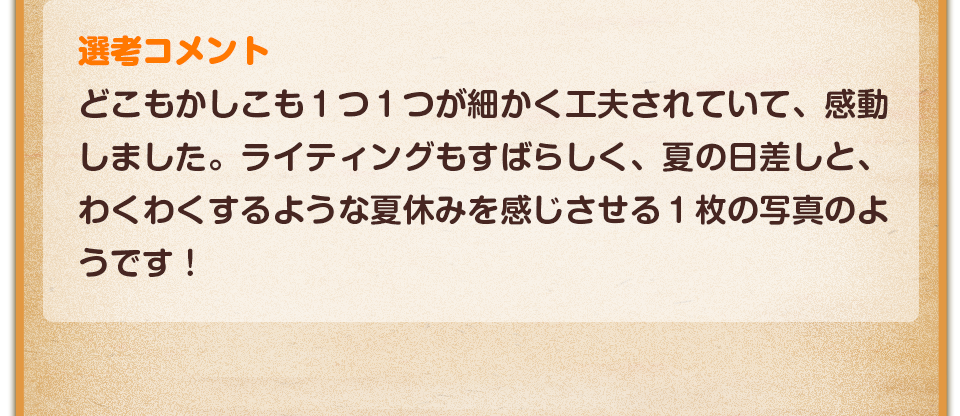 選考コメント／どこもかしこも１つ１つが細かく工夫されていて、感動しました。ライティングもすばらしく、夏の日差しと、わくわくするような夏休みを感じさせる１枚の写真のようです！