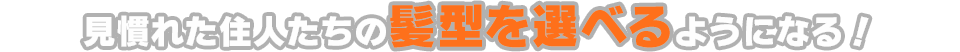 見慣れた住人たちの髪型を選べるようになる！