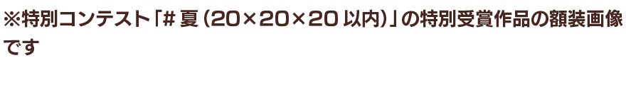 ※特別コンテスト「#夏（20×20×20以内）」の特別受賞作品の額装画像です