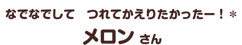 なでなでして　つれてかえりたかったー！＊／メロン さん