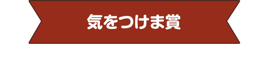 気をつけま賞