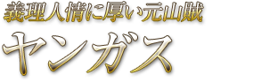 義理人情に厚い元山賊 ヤンガス