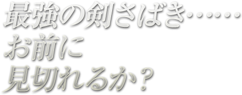 最強の剣さばき……お前に見切れるか?