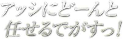 アッシにどーんと任せるでがすっ!