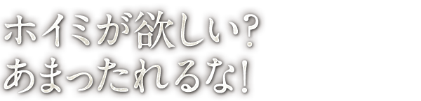 ホイミが欲しい？あまったれるな！