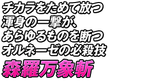 チカラをためて放つ渾身の一撃が、あらゆるものを断つオルネーゼの必殺技「森羅万象斬」