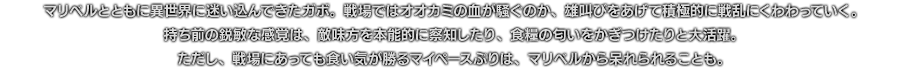 マリベルとともに異世界に迷い込んできたガボ。戦場ではオオカミの血が騒ぐのか、雄叫びをあげて積極的に戦乱にくわわっていく。持ち前の鋭敏な感覚は、敵味方を本能的に察知したり、食糧の匂いをかぎつけたりと大活躍。ただし、戦場にあっても食い気が勝るマイペースぶりは、マリベルから呆れられることも。