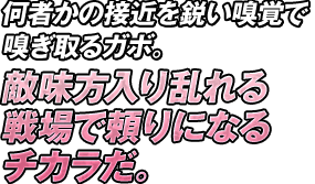 何者かの接近を鋭い嗅覚で嗅ぎ取るガボ。敵味方入り乱れる戦場で頼りになるチカラだ。