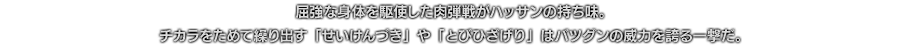 屈強な身体を駆使した肉弾戦がハッサンの持ち味。チカラをためて繰り出す「せいけんづき」や「とびひざげり」はバツグンの威力を誇る一撃だ。