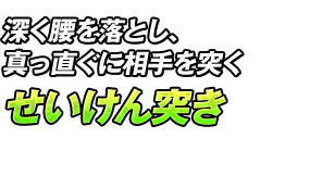 深く腰を落とし、真っ直ぐに相手を突く「せいけん突き」