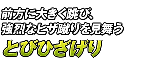 前方に大きく跳び、強烈なヒザ蹴りを見舞う「とびひざげり」