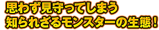 思わず見守ってしまう知られざるモンスターの生態！