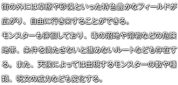 街の外には草原や砂漠といった特色豊かなフィールドが広がり、自由に行き来することができる。モンスターも徘徊しており、毒の沼地や溶岩などの危険地帯、条件を満たさないと進めないルートなども存在する。また、天候によっては出現するモンスターの数や種類、呪文の威力なども変化する。