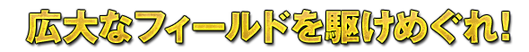 広大なフィールドを駆けめぐれ！