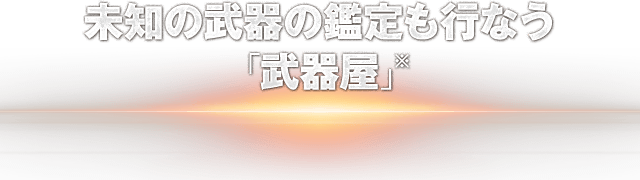 未知の武器の鑑定も行なう「武器屋」※