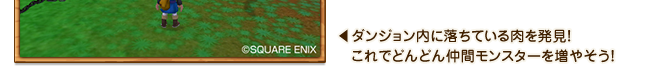 ←ダンジョン内に落ちている肉を発見！これでどんどん仲間モンスターを増やそう！