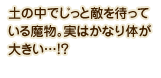 土の中でじっと敵を待っている魔物。実はかなり体が大きい…!?