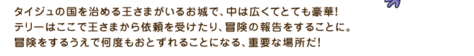 タイジュの国を治める王さまがいるお城で、中は広くてとても豪華！テリーはここで王さまから依頼を受けたり、冒険の報告をすることに。冒険をするうえで何度もおとずれることになる、重要な場所だ！