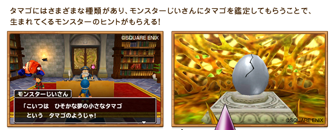 タマゴにはさまざまな種類があり、モンスターじいさんにタマゴを鑑定してもらうことで、生まれてくるモンスターのヒントがもらえる！