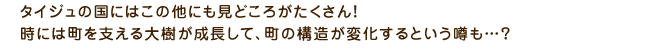 タイジュの国にはこの他にも見どころがたくさん！時には町を支える大樹が成長して、町の構造が変化するという噂も…？